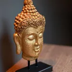 203 Anthracite - Design & Comfort *