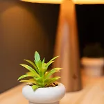 203 Anthracite - Design & Comfort Apartment Bertrange