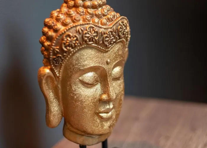 203 Anthracite - Design & Comfort *