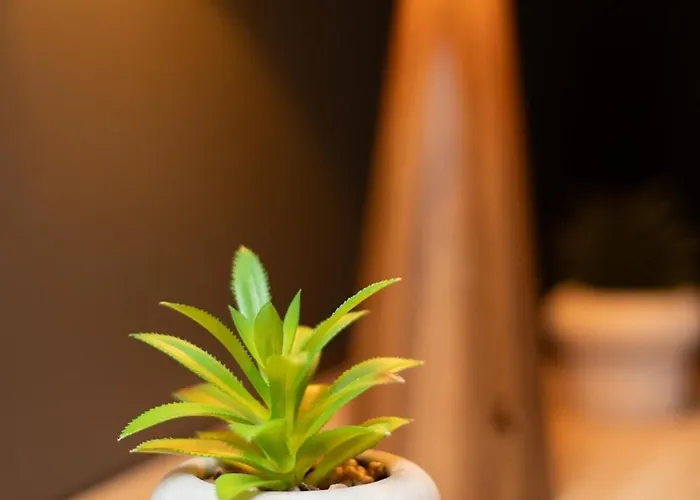 203 Anthracite - Design & Comfort Apartmán Bertrange